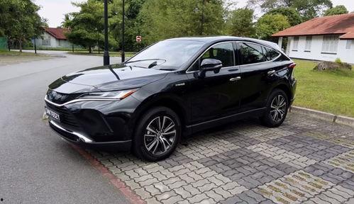 91po国产,揭秘神秘东方古国的历史与文化 第1张 91po国产,揭秘神秘东方古国的历史与文化 第1张