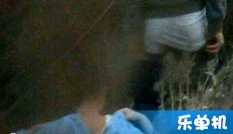 国产免费的野战视频,揭秘真实战场上的英勇瞬间  第1张